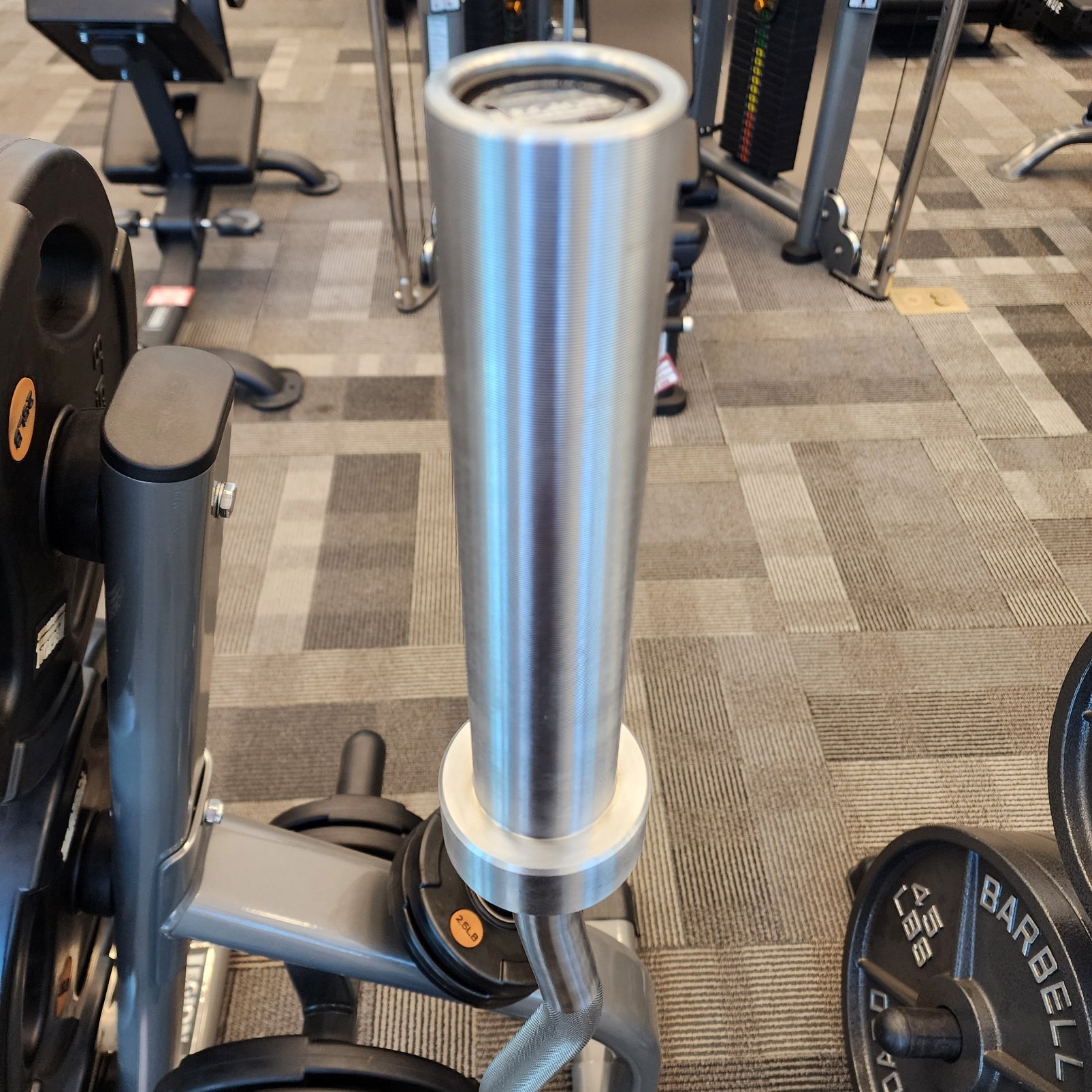Legion 54" Olympic EZ Curl Bar — Chrome
