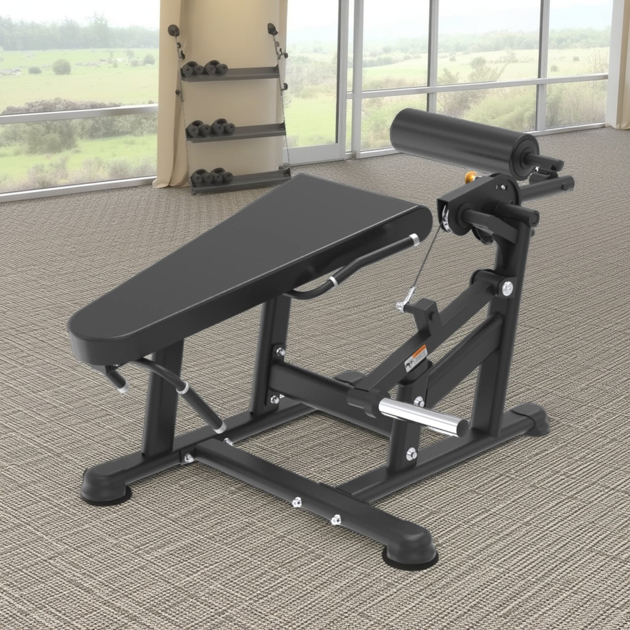 LELC — Leg Extension/ Leg Curl
