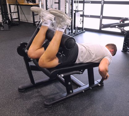 LELC Leg Extension/ Leg Curl