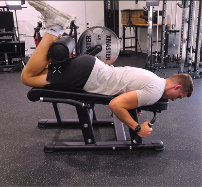 LELC Leg Extension/ Leg Curl