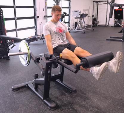 LELC Leg Extension/ Leg Curl