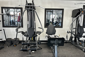 Check Out the Legion G9 Hybrid Multigym!