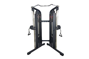 Legion FT200 Spartan DAP Functional Trainer